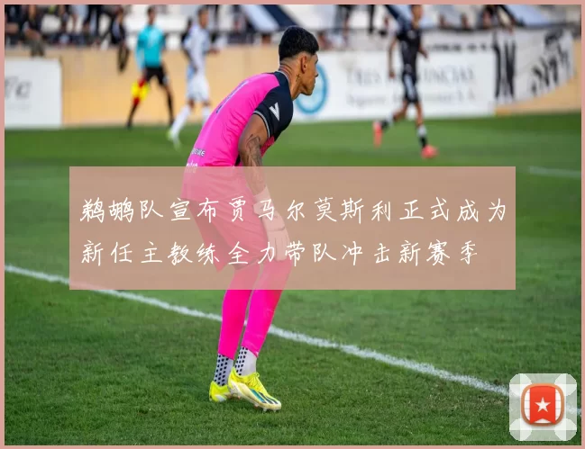 鹈鹕队宣布贾马尔莫斯利正式成为新任主教练全力带队冲击新赛季